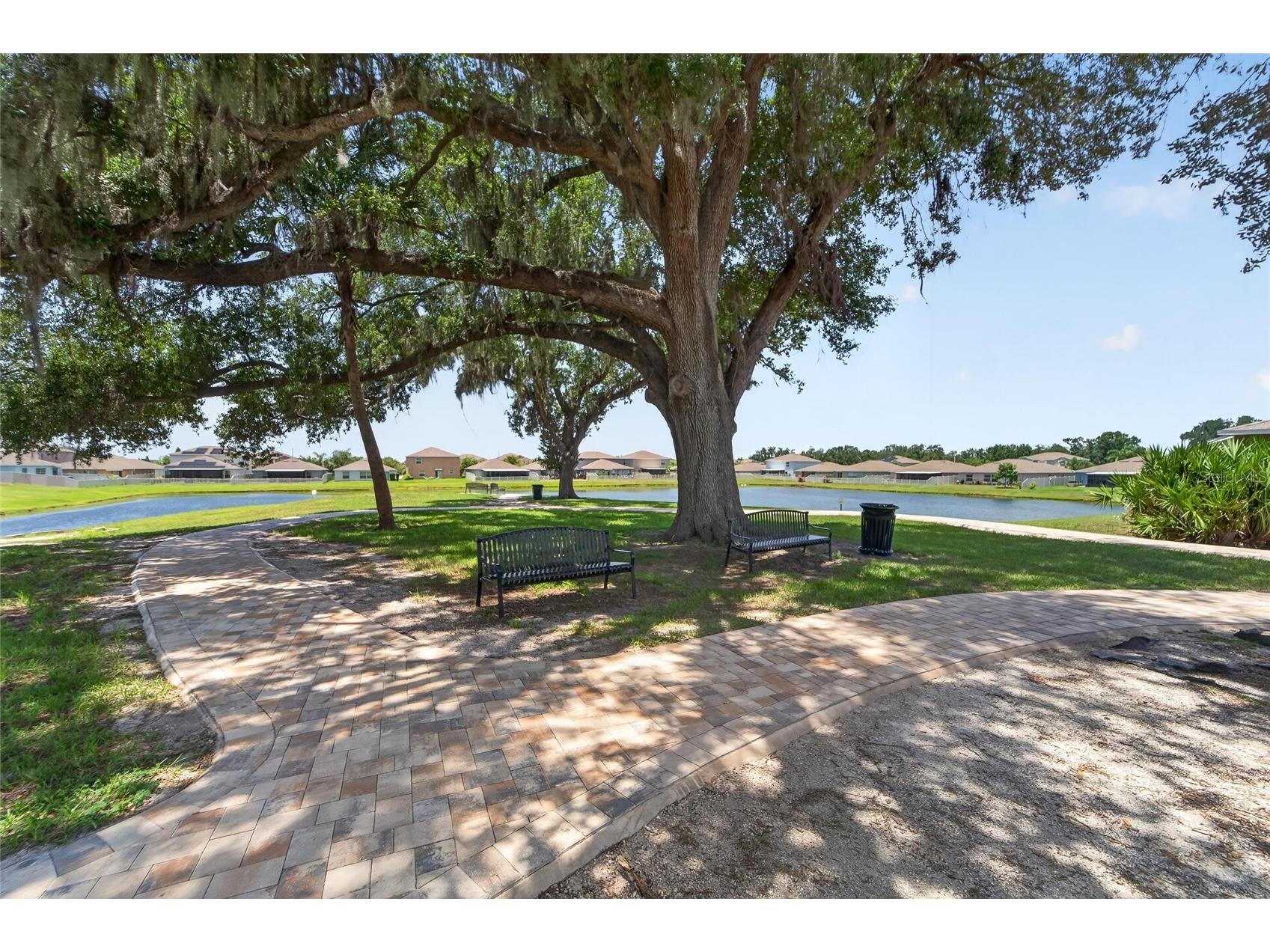 10304 Strawberry Tetra Drive Riverview FL 33578 TB8529876 image55