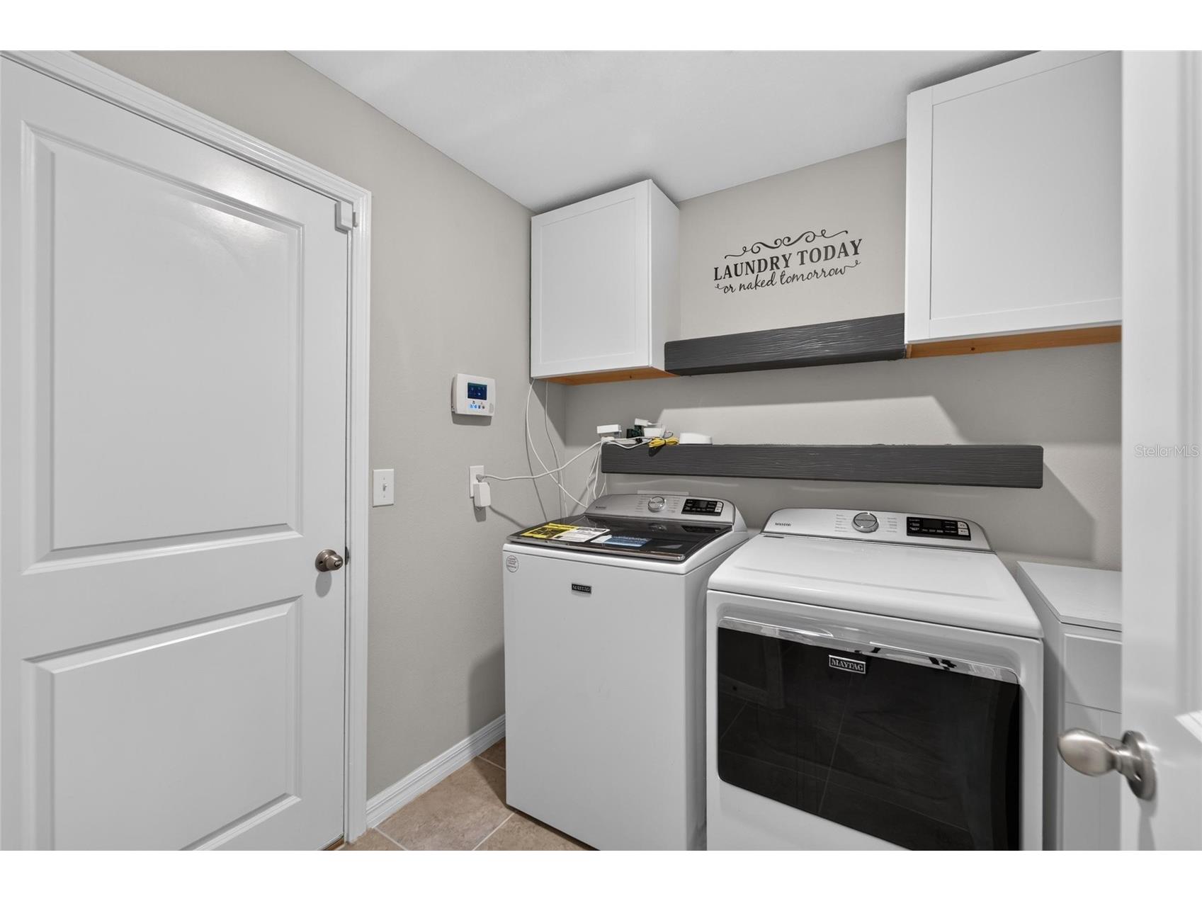 10304 Strawberry Tetra Drive Riverview FL 33578 TB8529876 image9