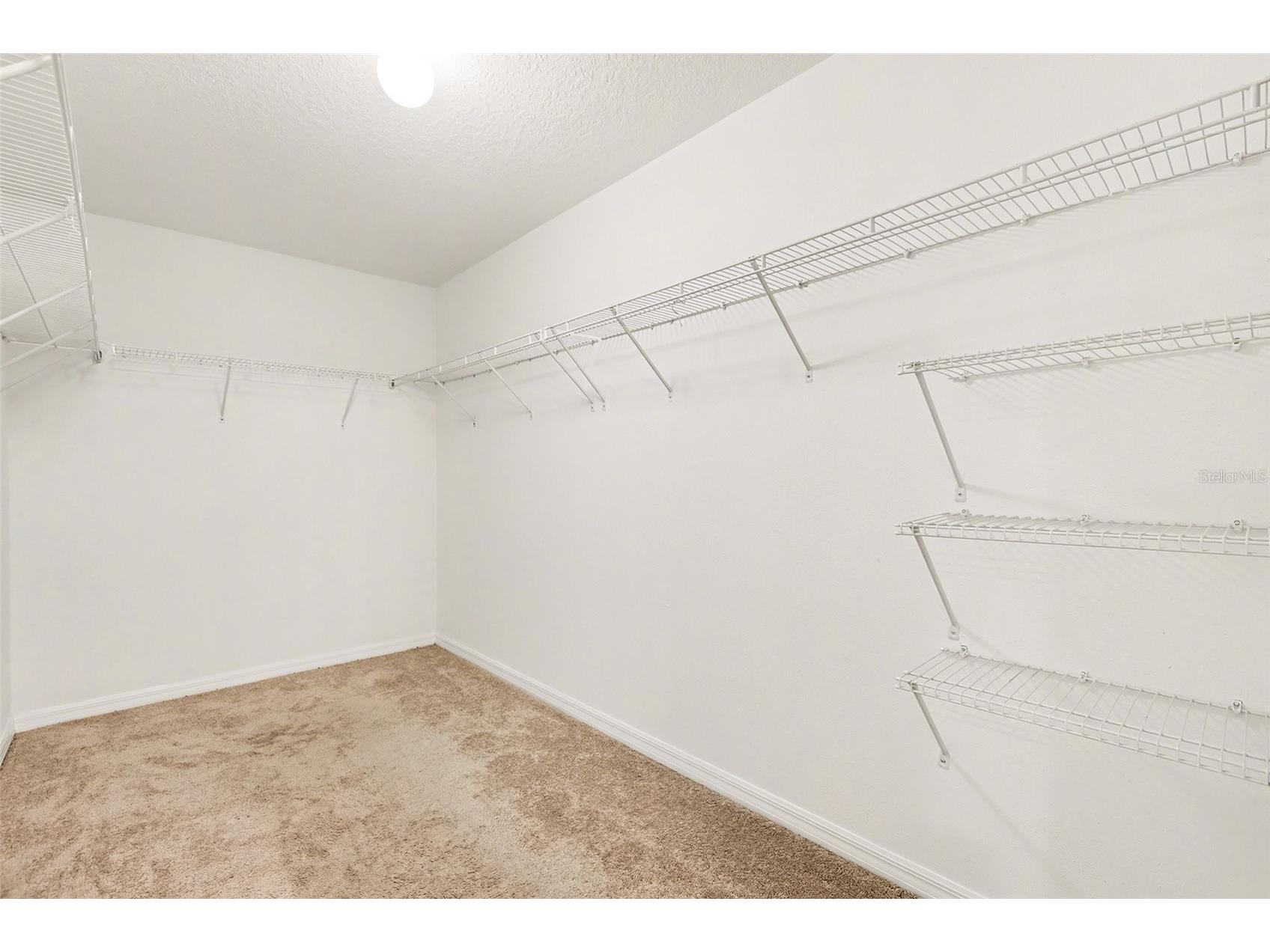 10305 Boggy Moss Drive Riverview FL 33578 O6372493 image13