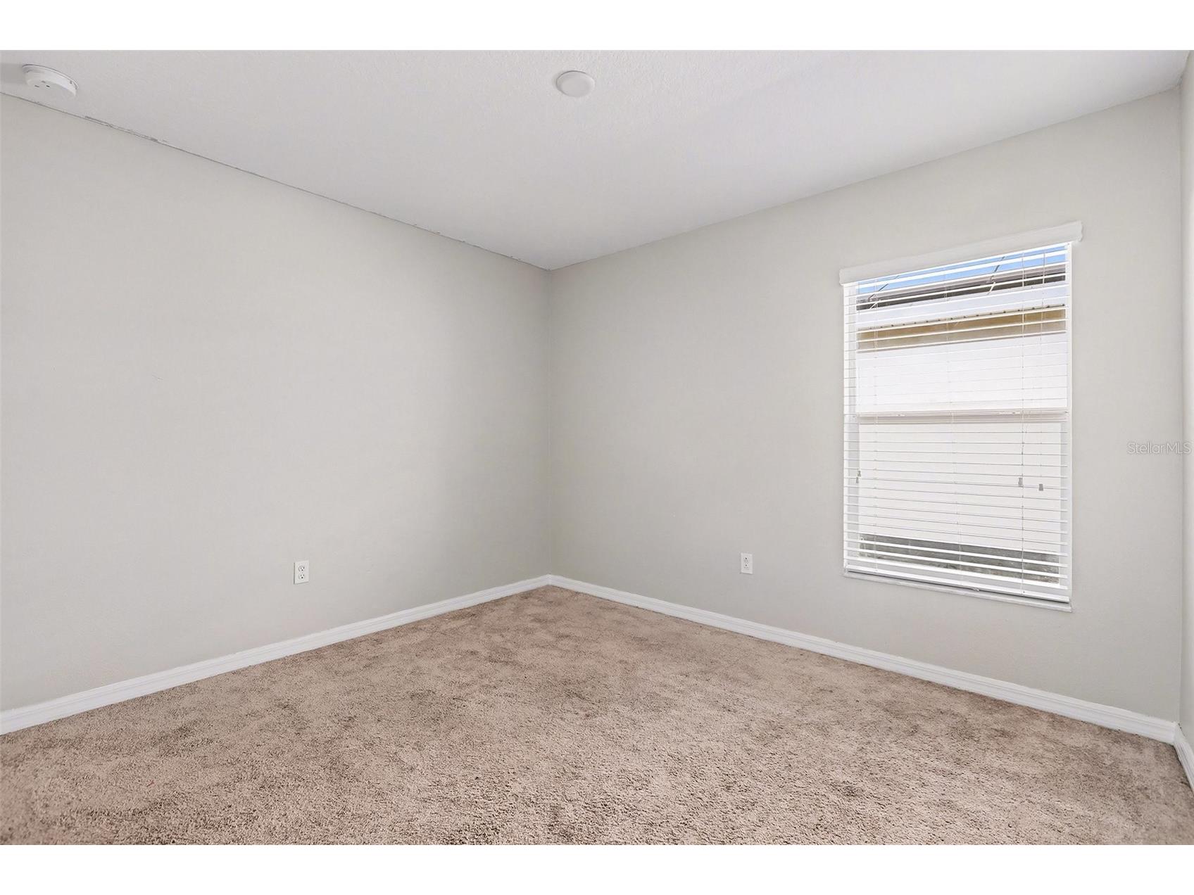 10305 Boggy Moss Drive Riverview FL 33578 O6372493 image16