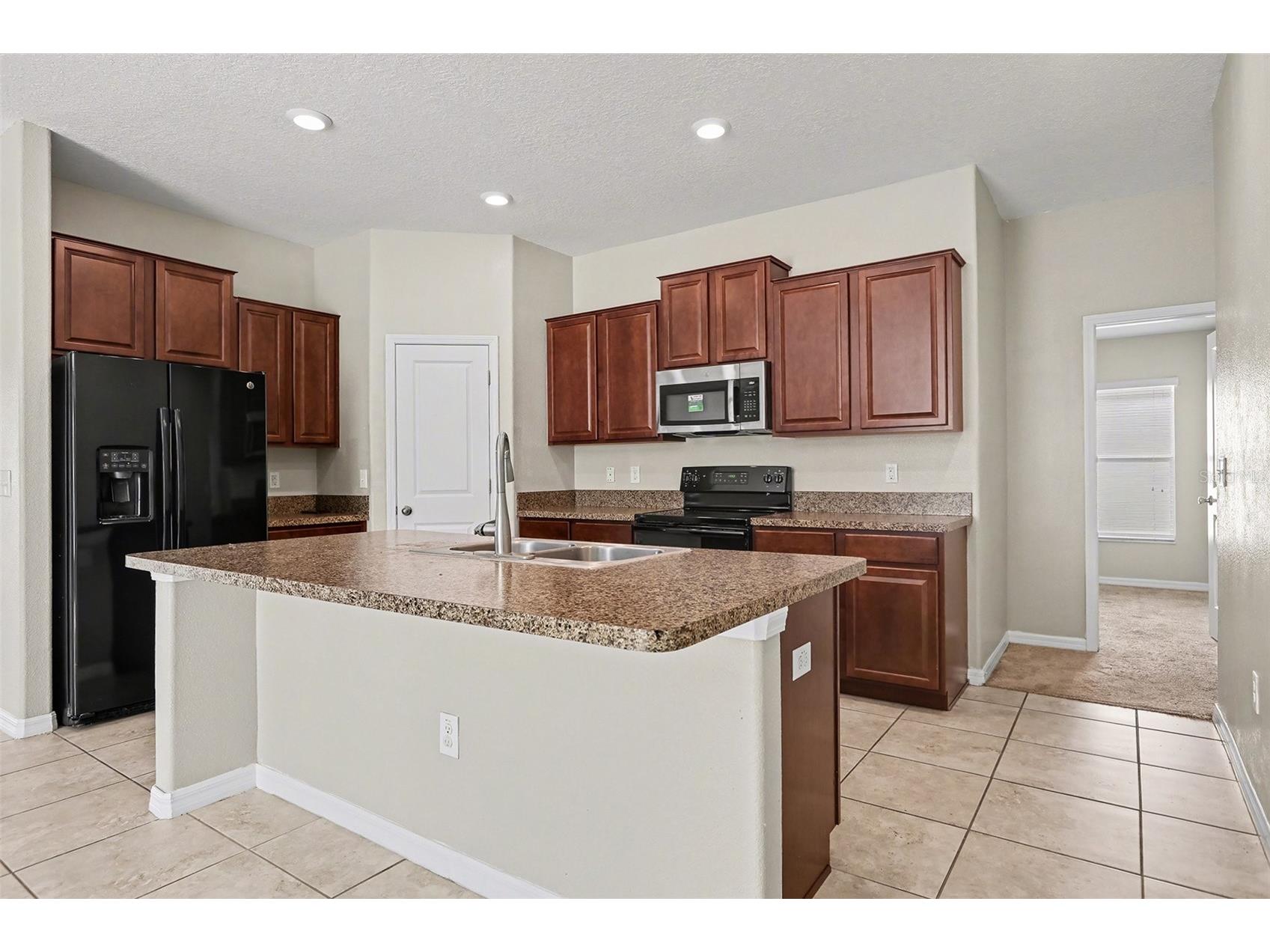 10305 Boggy Moss Drive Riverview FL 33578 O6372493 image6