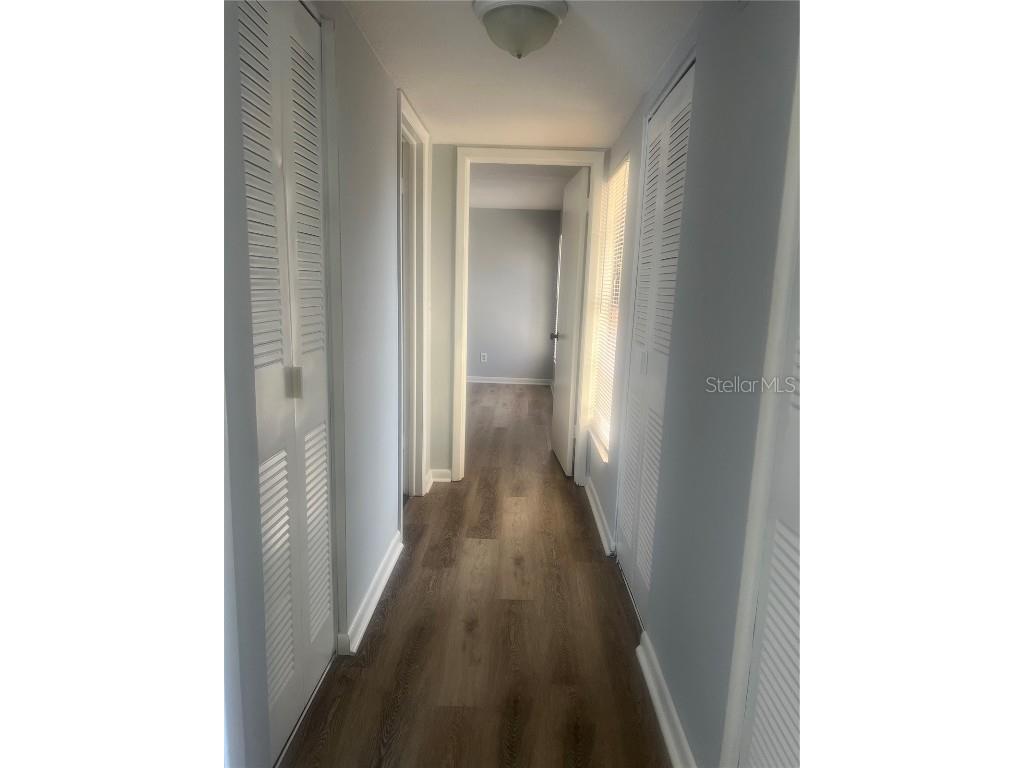 10305 Fernglen Place Tampa FL 33624 TB8450810 image14