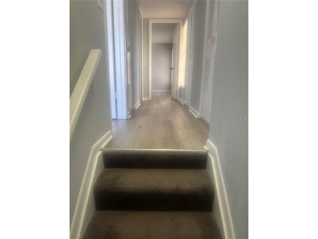 10305 Fernglen Place Tampa FL 33624 TB8450810 image15