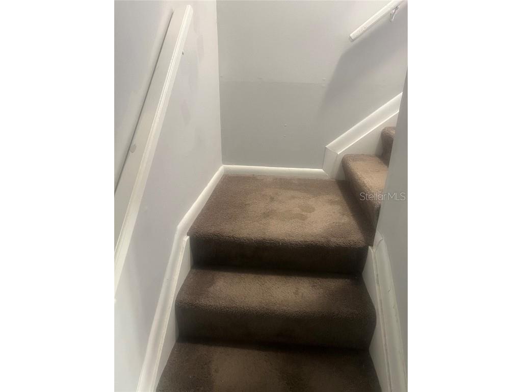 10305 Fernglen Place Tampa FL 33624 TB8450810 image16