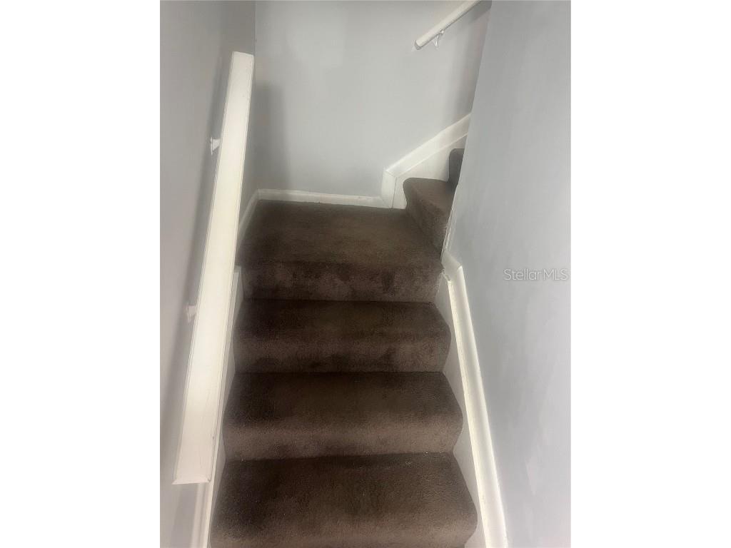 10305 Fernglen Place Tampa FL 33624 TB8450810 image17