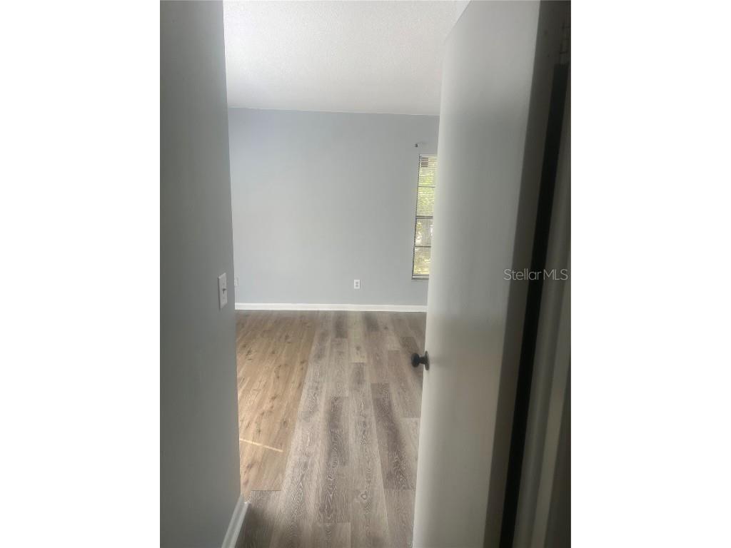 10305 Fernglen Place Tampa FL 33624 TB8450810 image20