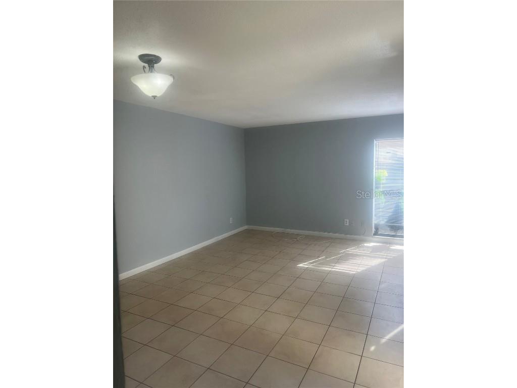 10305 Fernglen Place Tampa FL 33624 TB8450810 image23