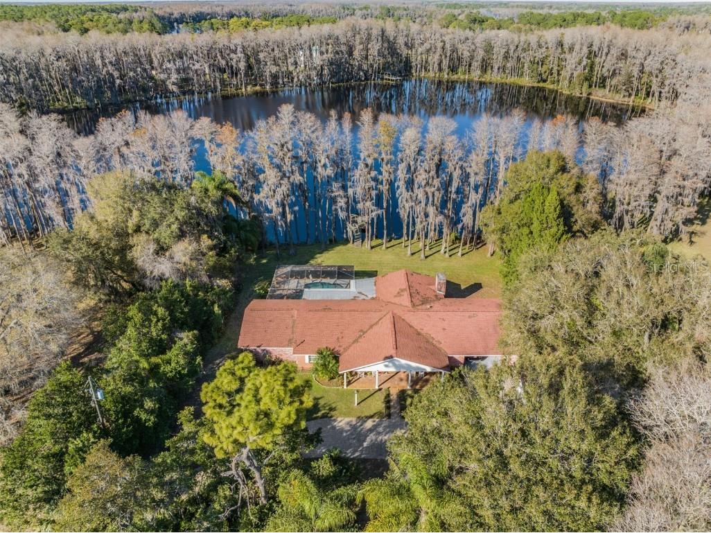 10305 Tarpon Springs Road Odessa FL 33556 - Lake Martha T3425338 image1