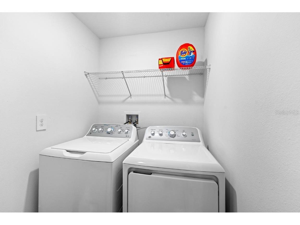 10305 Trumpet Honeysuckle Way San Antonio FL 33576 TB8454567 image19