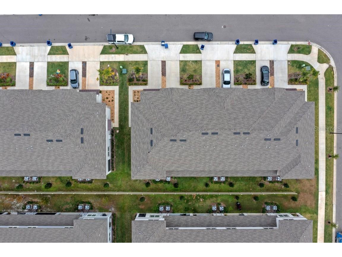 10305 Trumpet Honeysuckle Way San Antonio FL 33576 TB8454567 image25