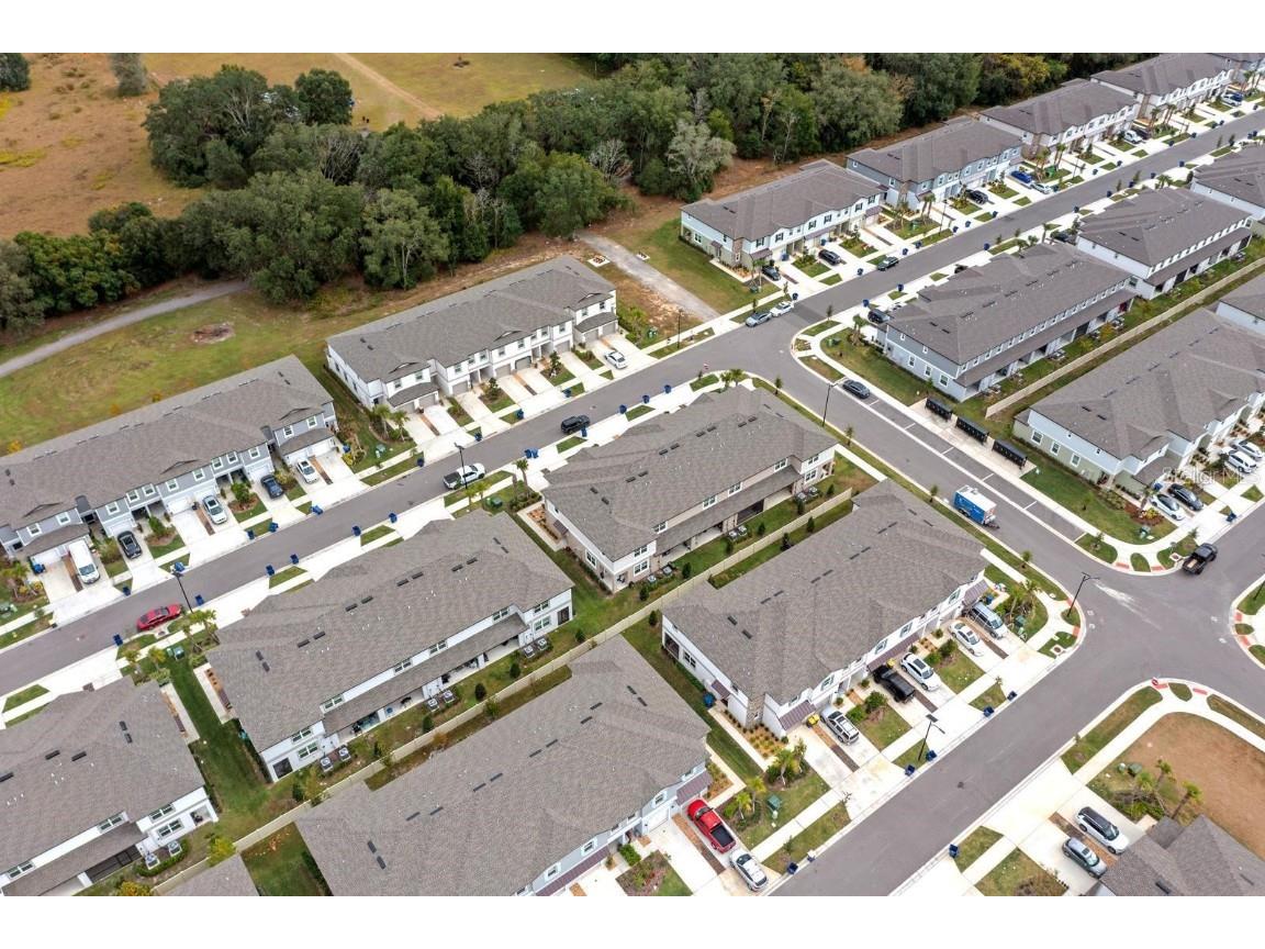 10305 Trumpet Honeysuckle Way San Antonio FL 33576 TB8454567 image26