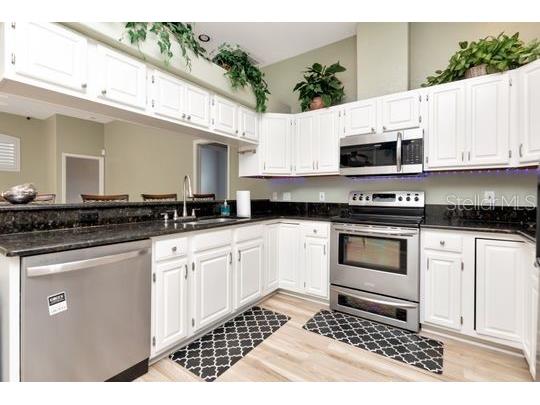 10305 Worthy Lamb Way New Port Richey FL 34654 TB8386767 image16