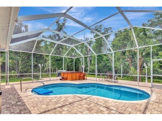 10305 Worthy Lamb Way New Port Richey FL 34654 TB8386767 image35