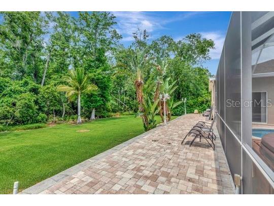 10305 Worthy Lamb Way New Port Richey FL 34654 TB8386767 image41
