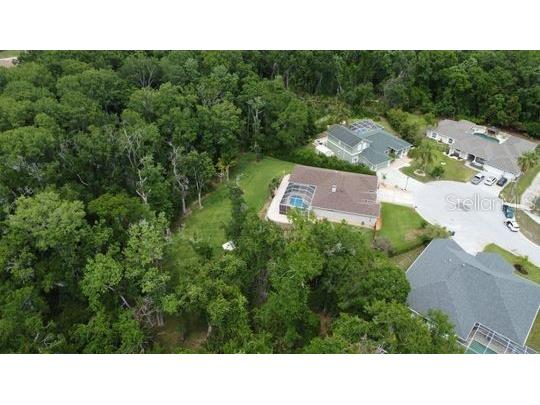 10305 Worthy Lamb Way New Port Richey FL 34654 TB8386767 image46