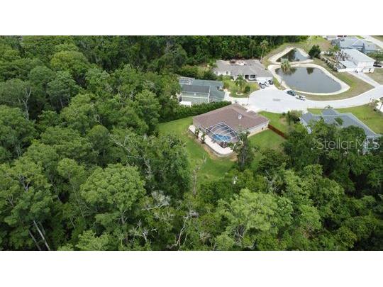 10305 Worthy Lamb Way New Port Richey FL 34654 TB8386767 image48