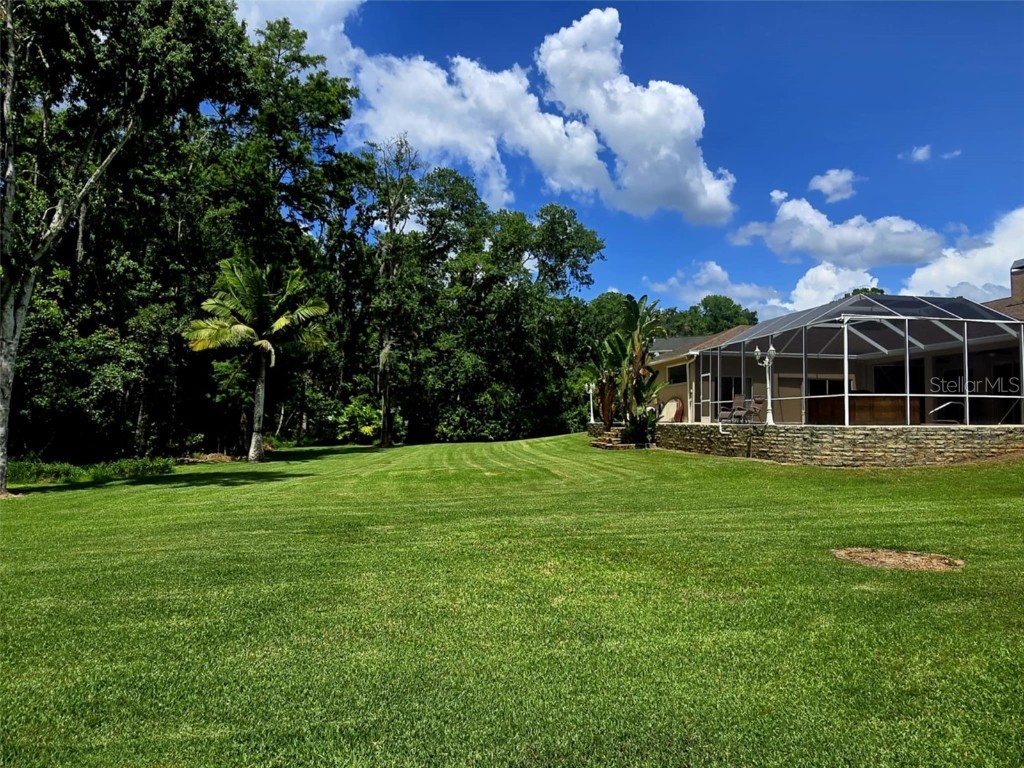 10305 Worthy Lamb Way New Port Richey FL 34654 TB8386767 image6