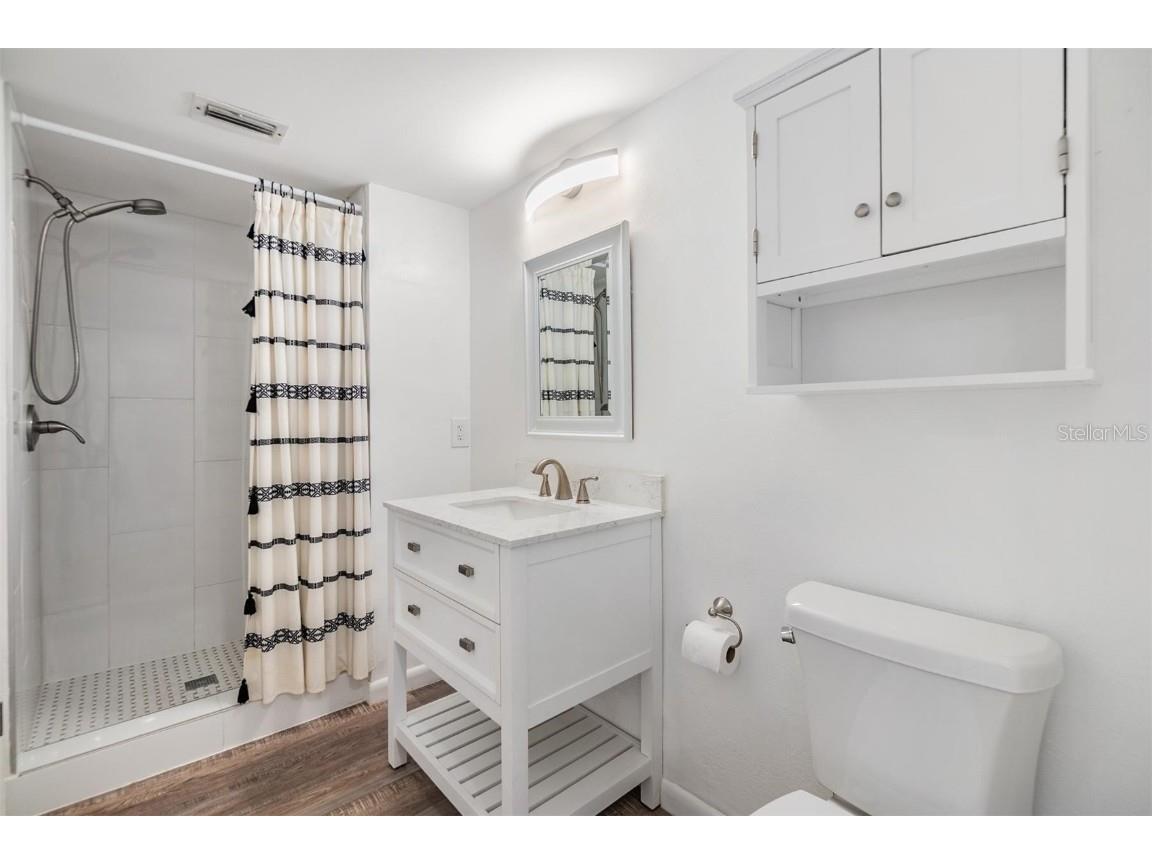 10306 Green Grove Place Tampa FL 33624 TB8362588 image29