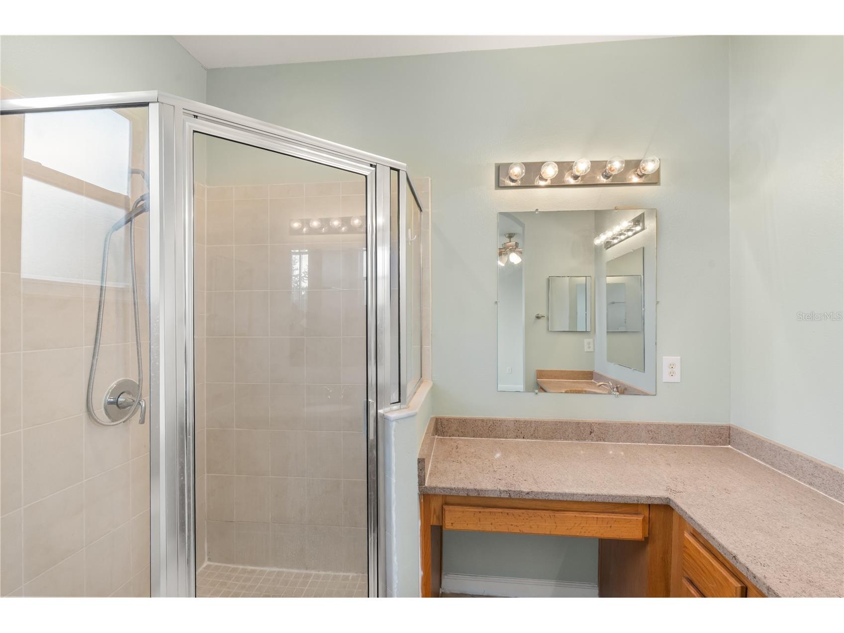 10306 Stone Moss Avenue Tampa FL 33647 TB8511604 image25