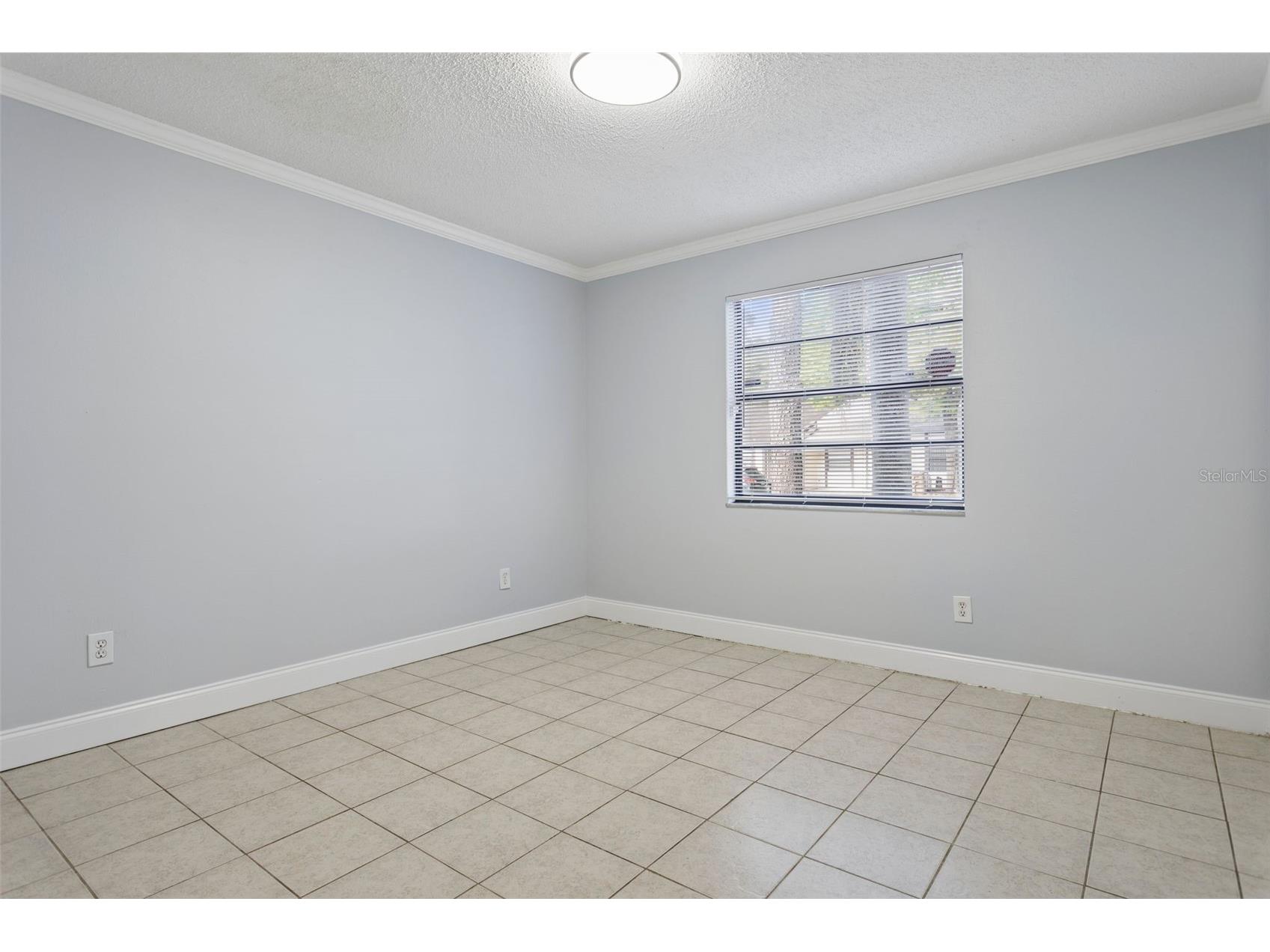 10307 Councils Way Tampa FL 33617 TB8509423 image24