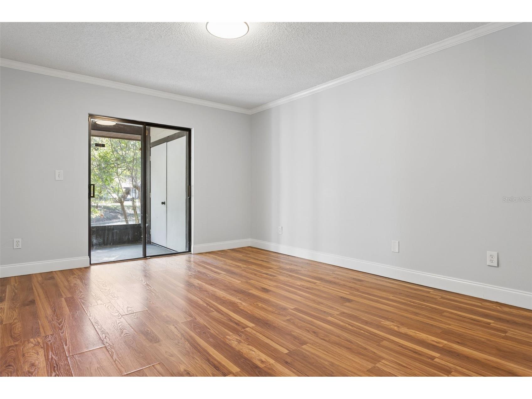 10307 Councils Way Tampa FL 33617 TB8509423 image33
