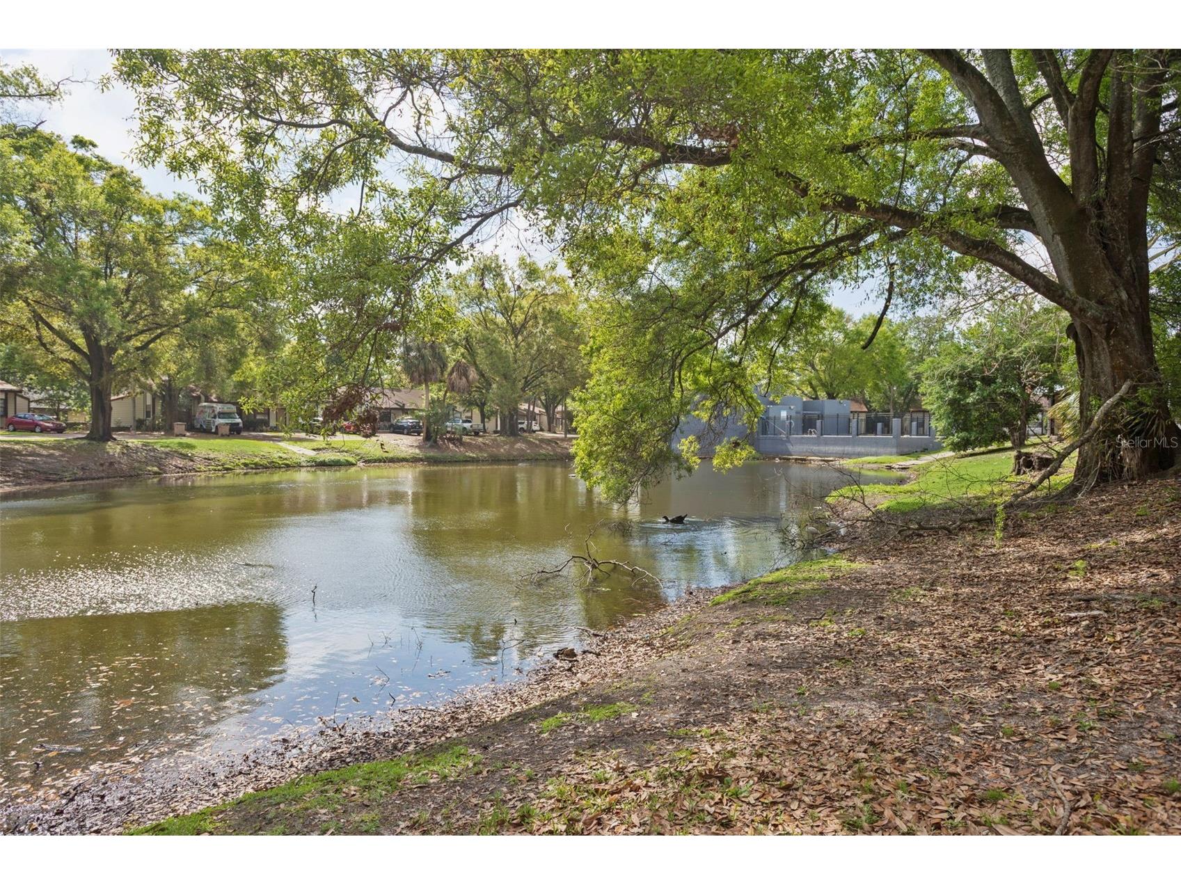 10307 Councils Way Tampa FL 33617 TB8509423 image49