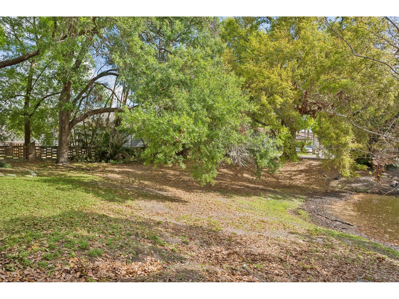 10307 Councils Way Tampa FL 33617 TB8509423 image50