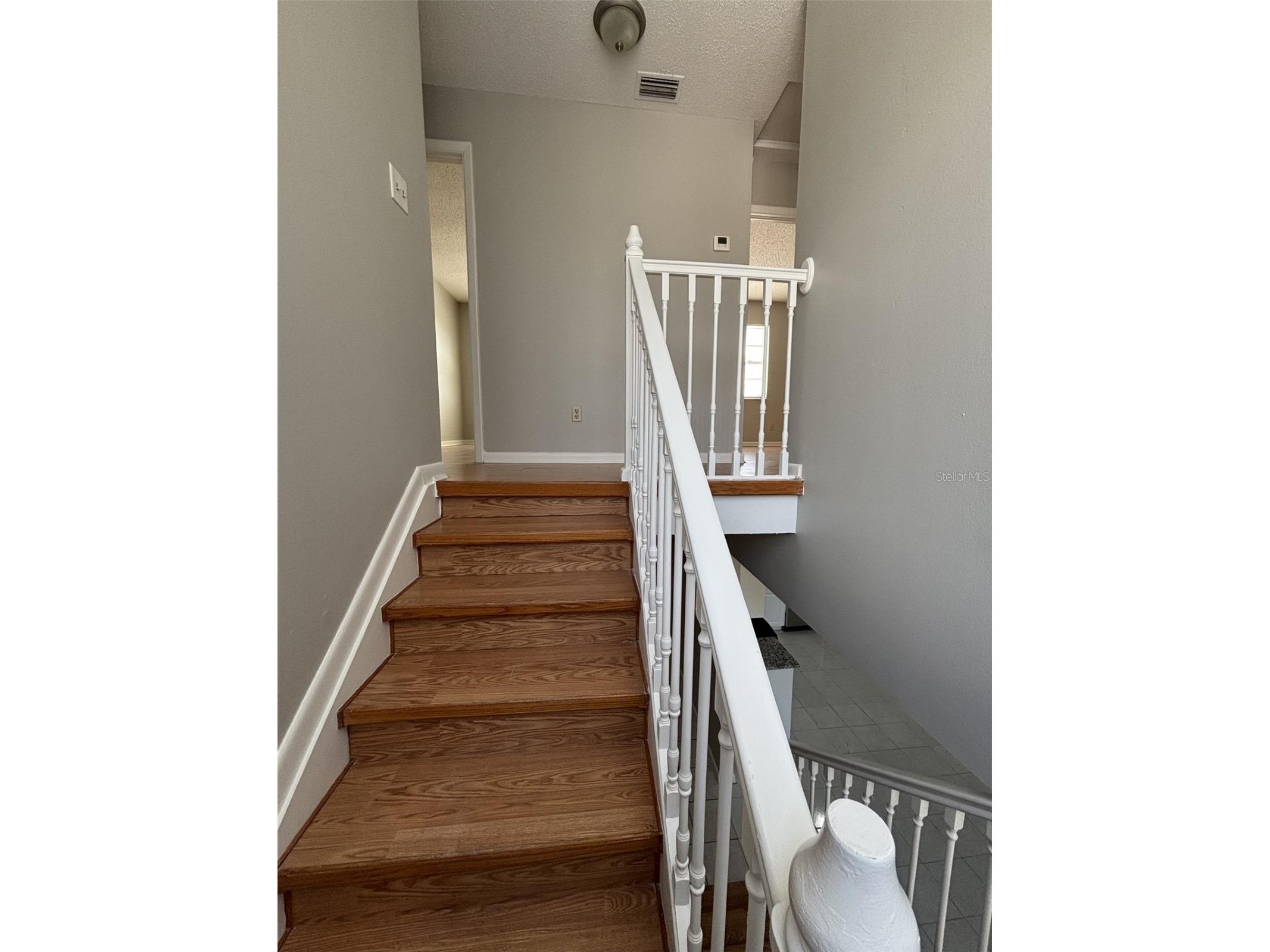 10307 Parkcrest Drive Tampa FL 33624 TB8506847 image19