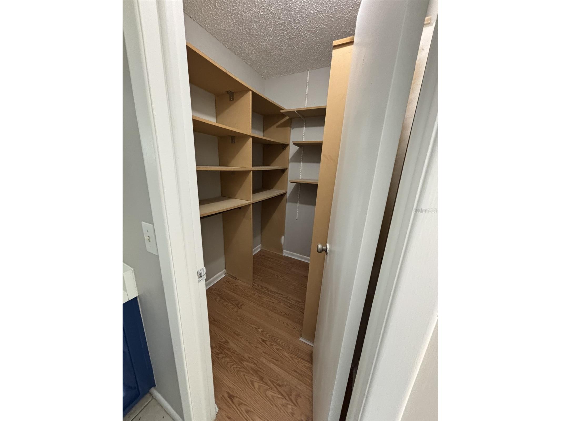 10307 Parkcrest Drive Tampa FL 33624 TB8506847 image28