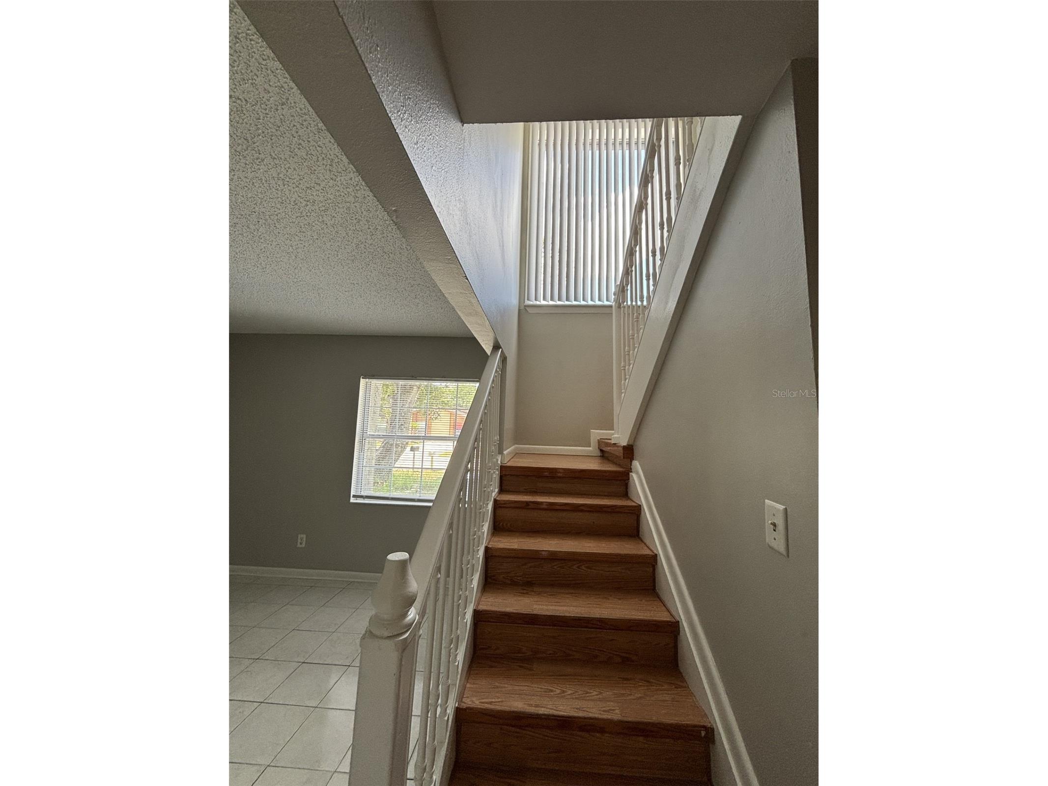 10307 Parkcrest Drive Tampa FL 33624 TB8506847 image9