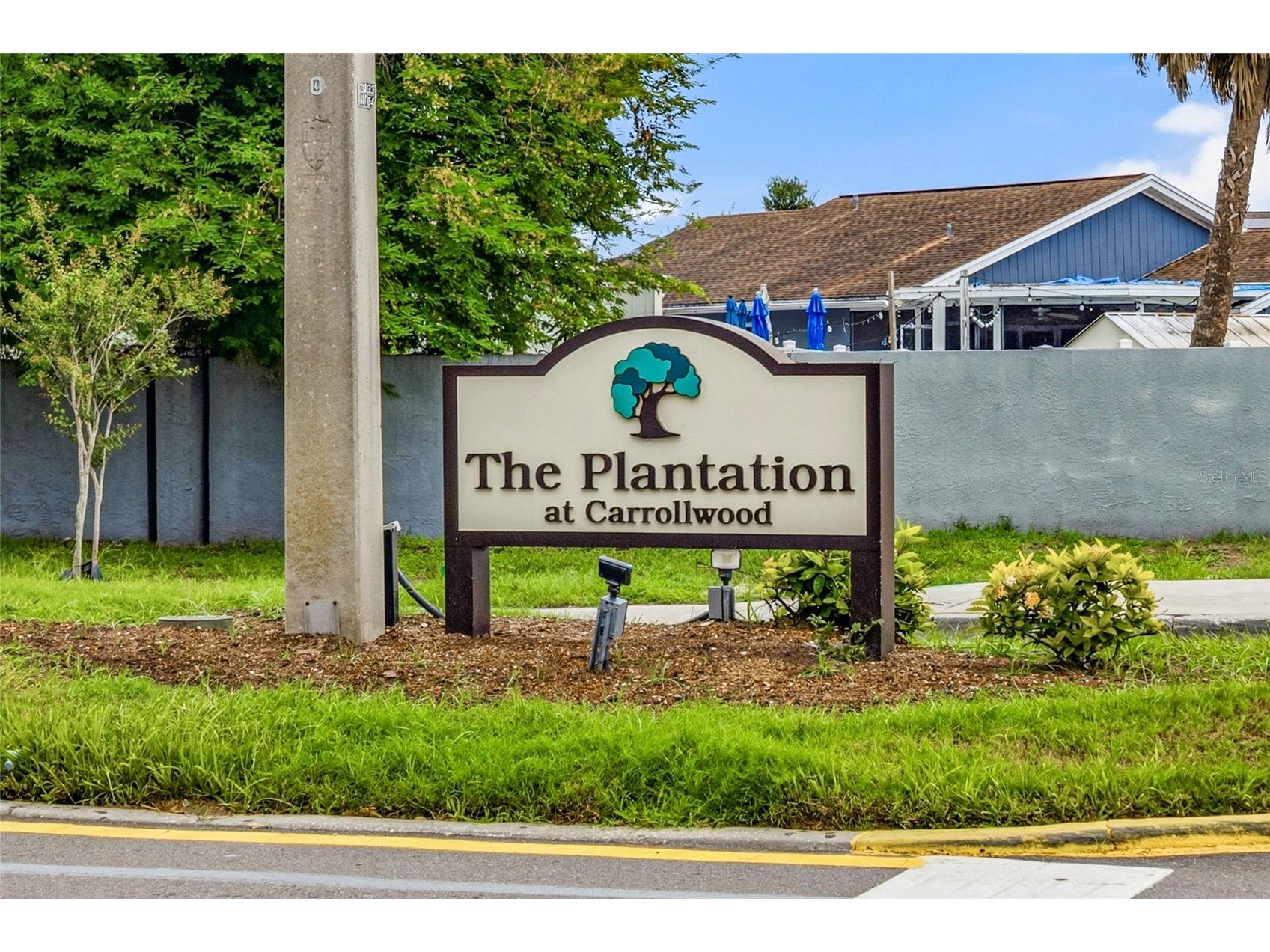10307 Pennytree Place Tampa FL 33624 TB8512737 image20