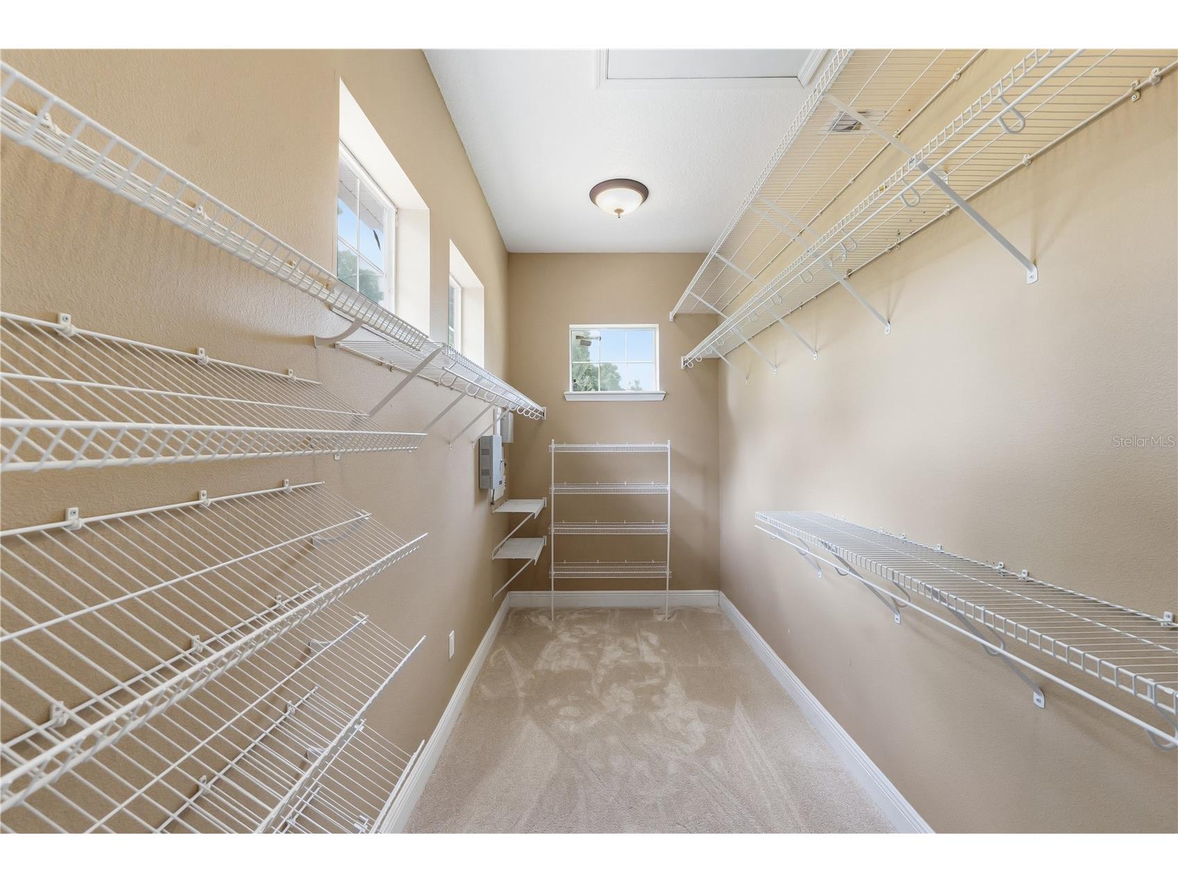 10307 Reclinata Lane Tampa FL 33618 - LAKE CARROLL TB8527496 image14