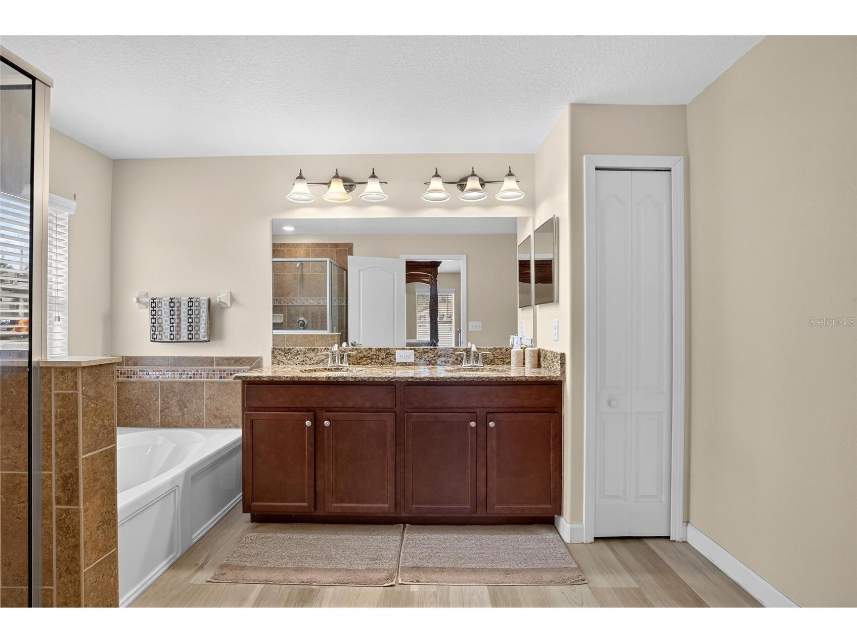 10307 Summer Azure Drive Riverview FL 33578 TB8523101 image10