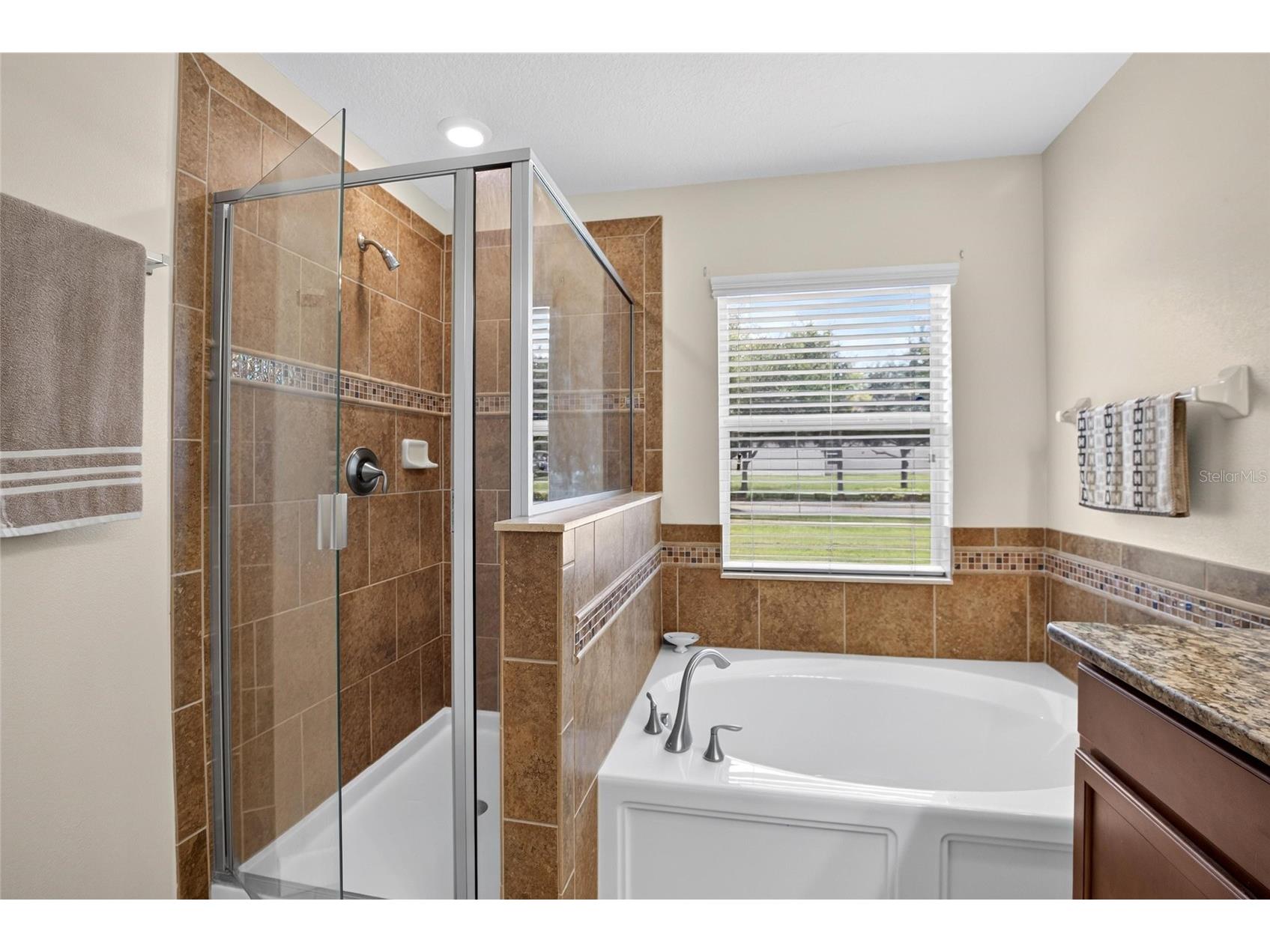 10307 Summer Azure Drive Riverview FL 33578 TB8523101 image11