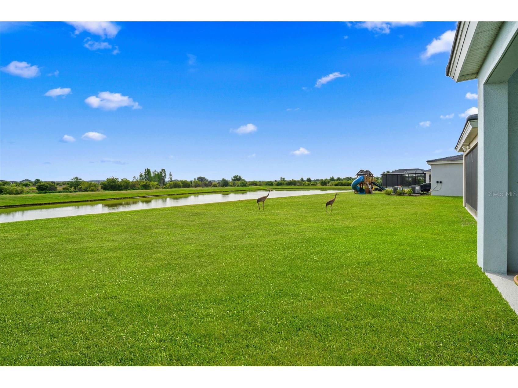 10308 Fieldstone Myrtle Way San Antonio FL 33576 O6401006 image12