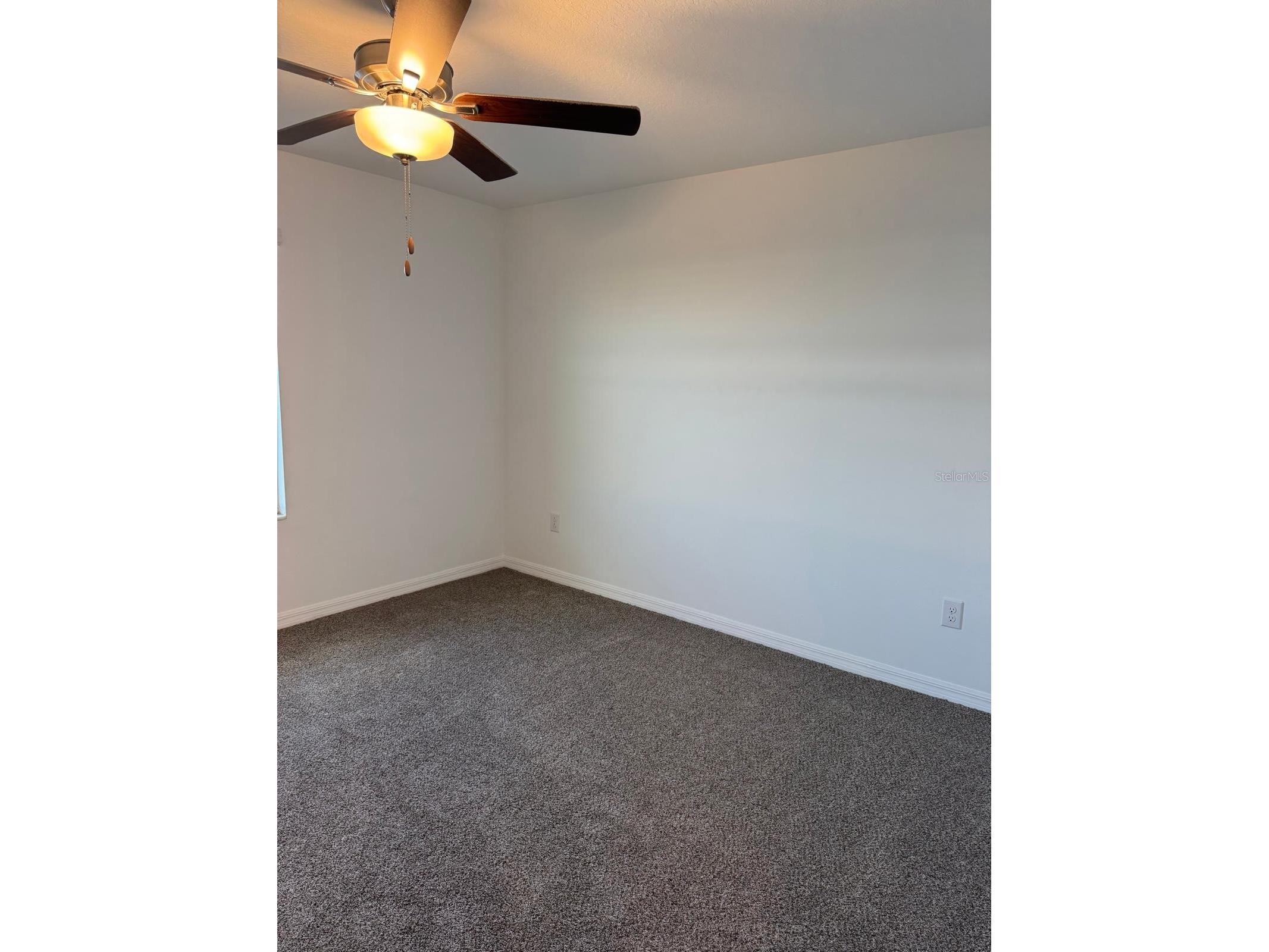 10308 Lavender Aster Trail San Antonio FL 33576 TB8523729 image11