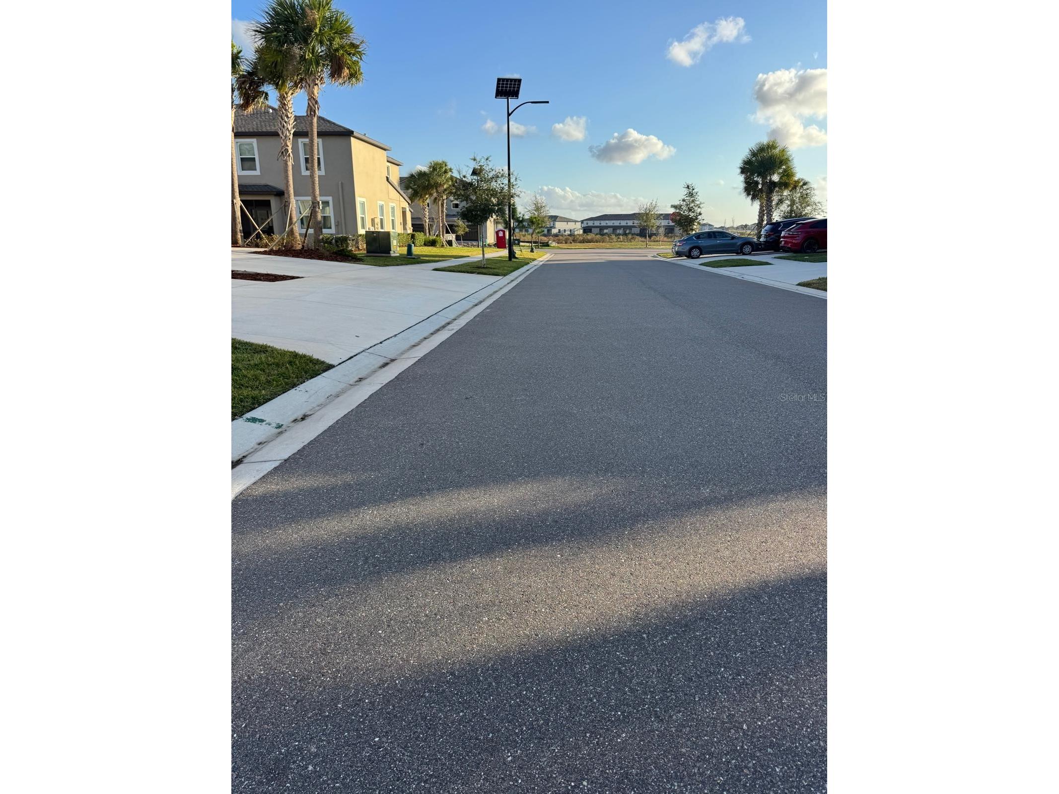 10308 Lavender Aster Trail San Antonio FL 33576 TB8523729 image16