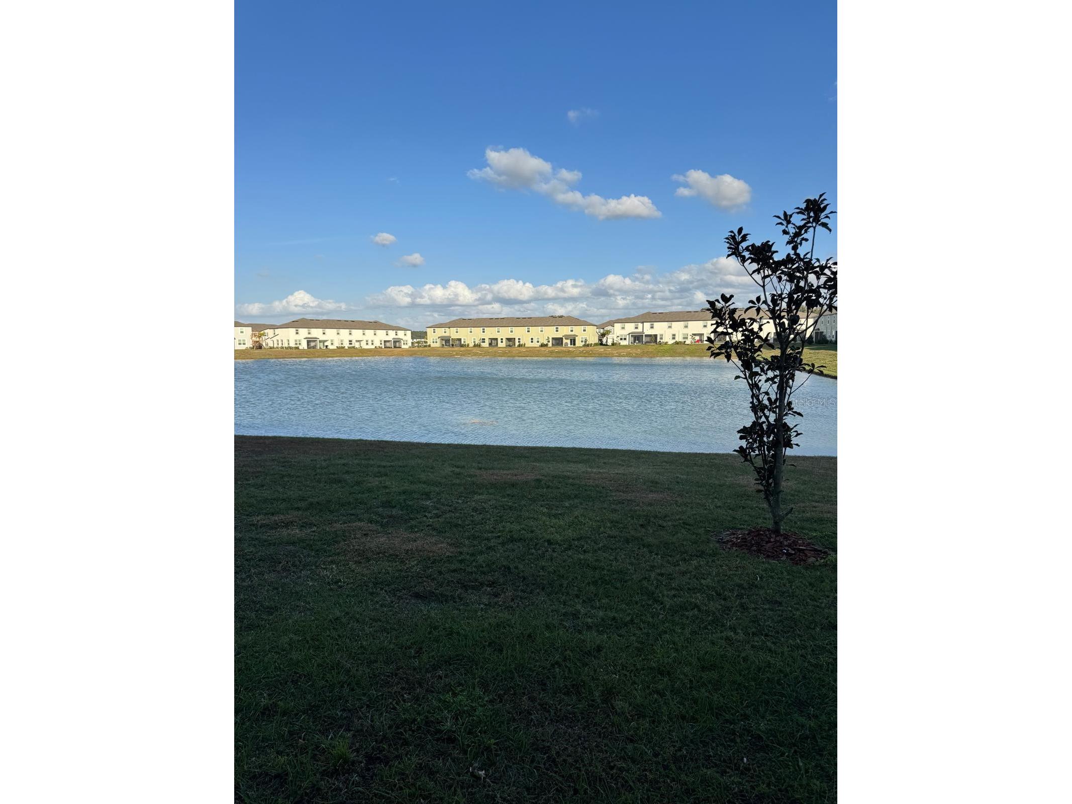 10308 Lavender Aster Trail San Antonio FL 33576 TB8523729 image5