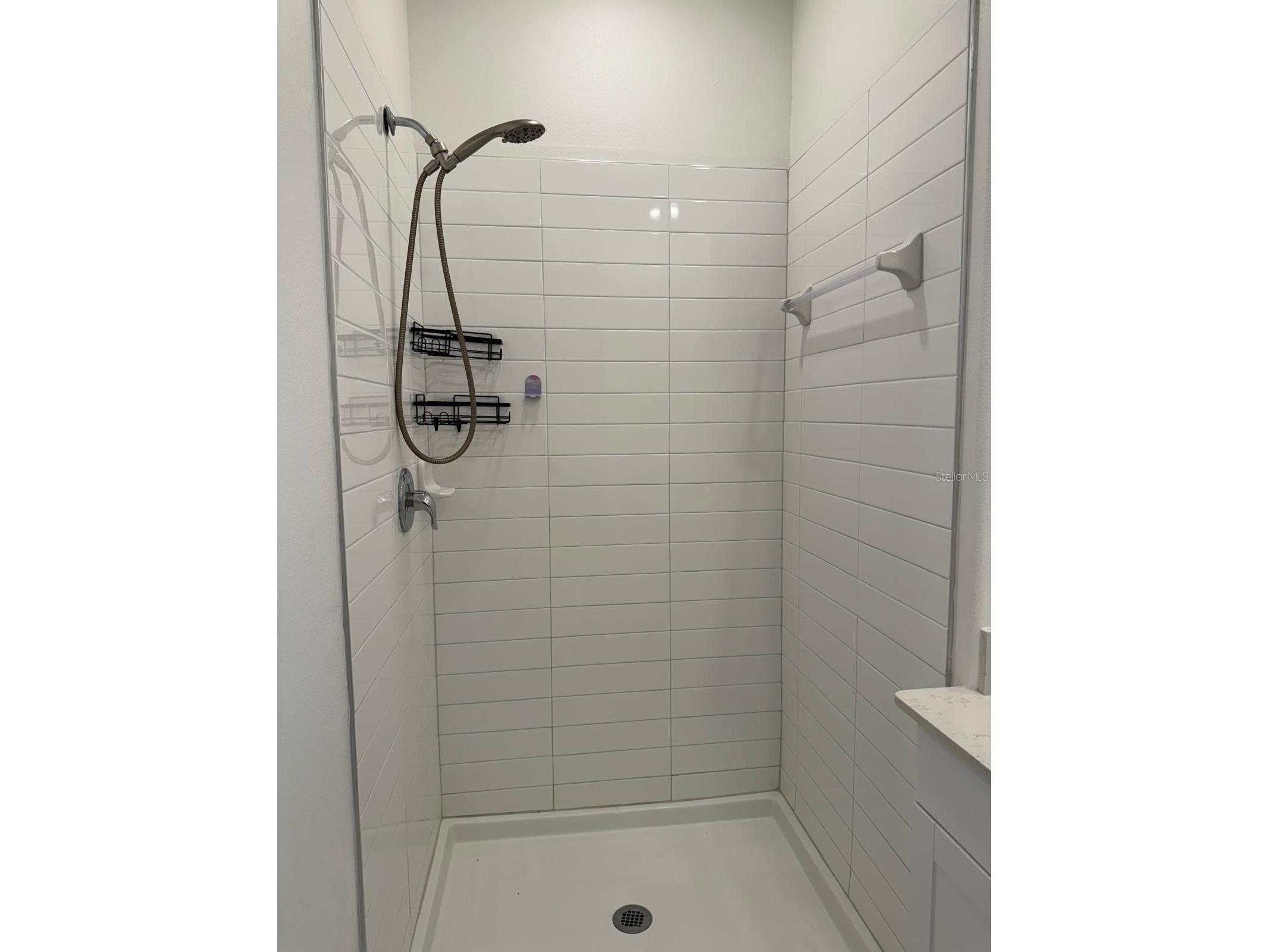 10308 Lavender Aster Trail San Antonio FL 33576 TB8523729 image7