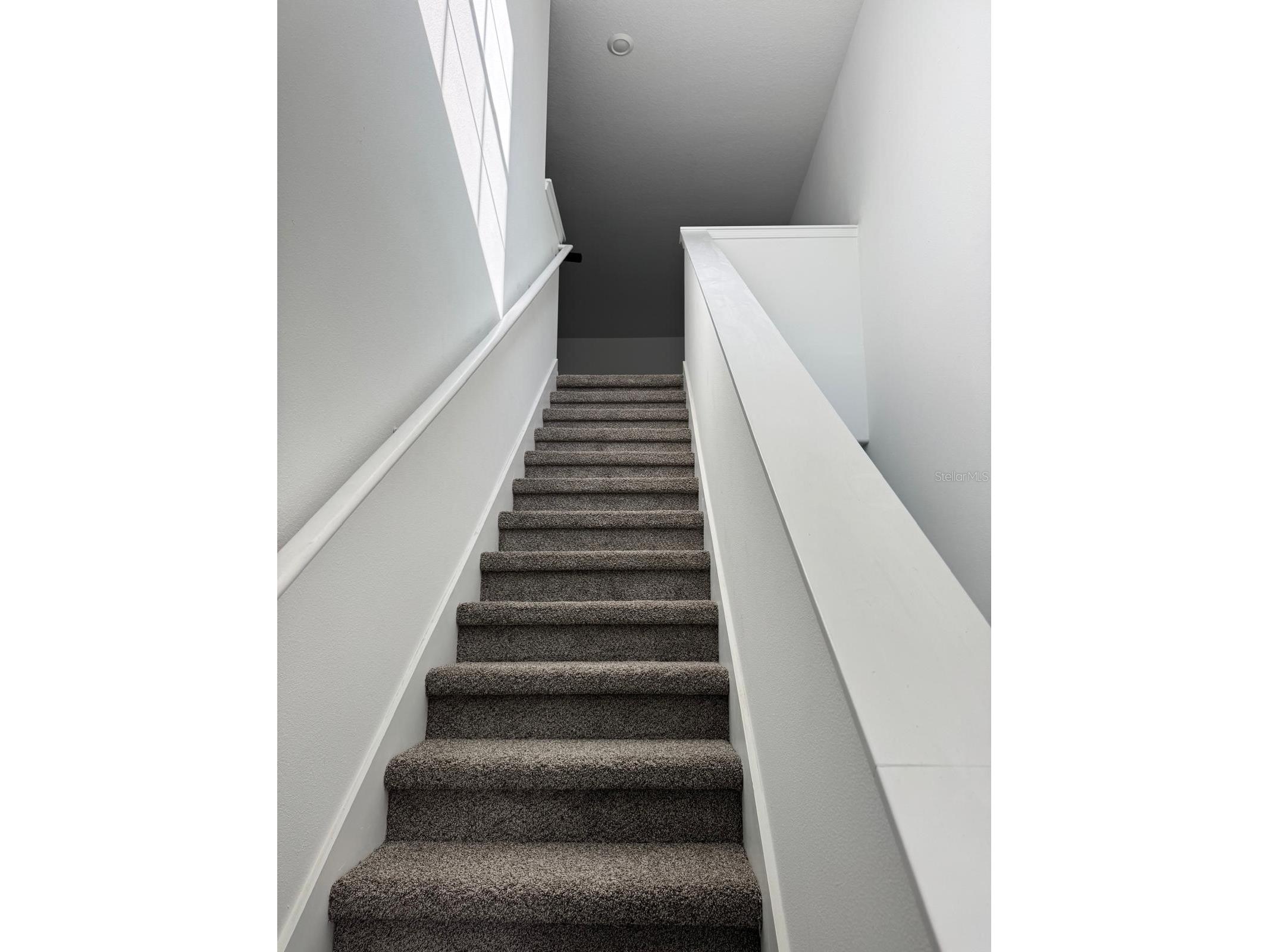 10308 Lavender Aster Trail San Antonio FL 33576 TB8523729 image8