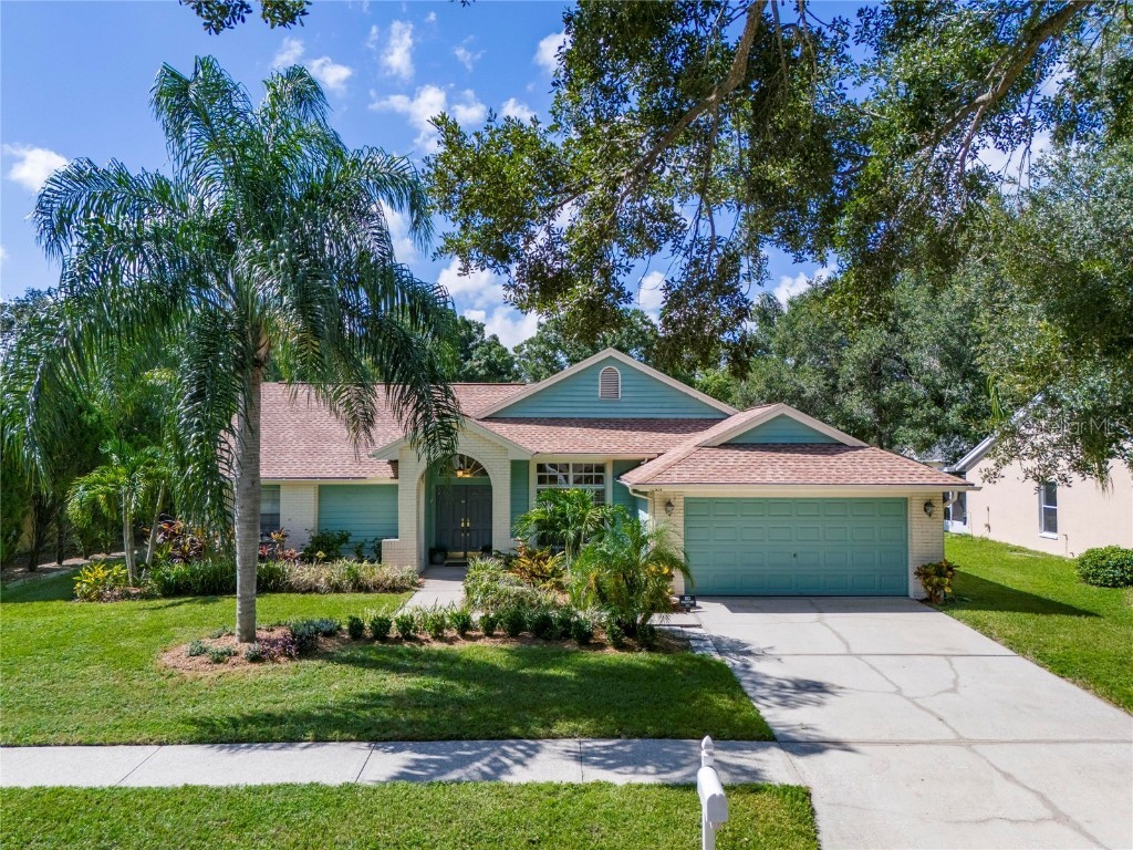 10309 Ashley Oaks Drive Riverview FL 33578 T3551818 image1