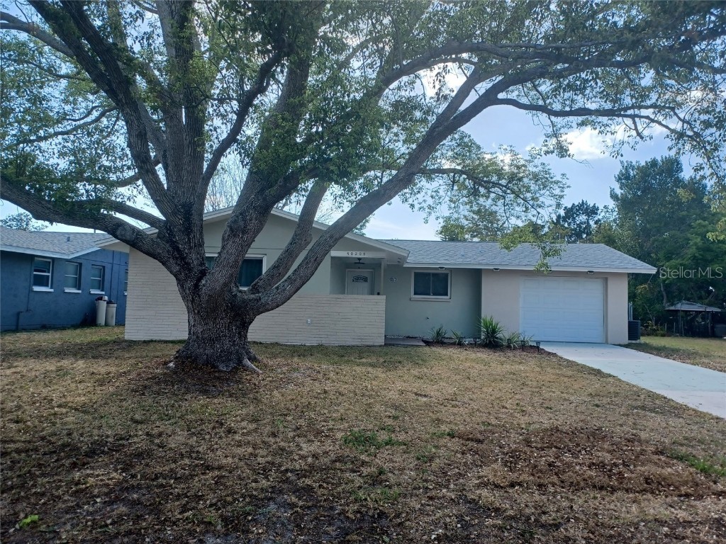 10309 Oleander Drive Port Richey FL 34668 T3441748 image1