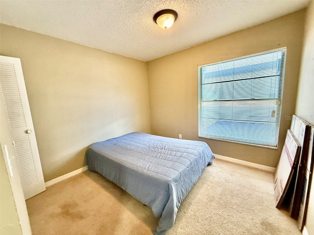 10309 Parkcrest Drive Tampa FL 33624 TB8432107 image13