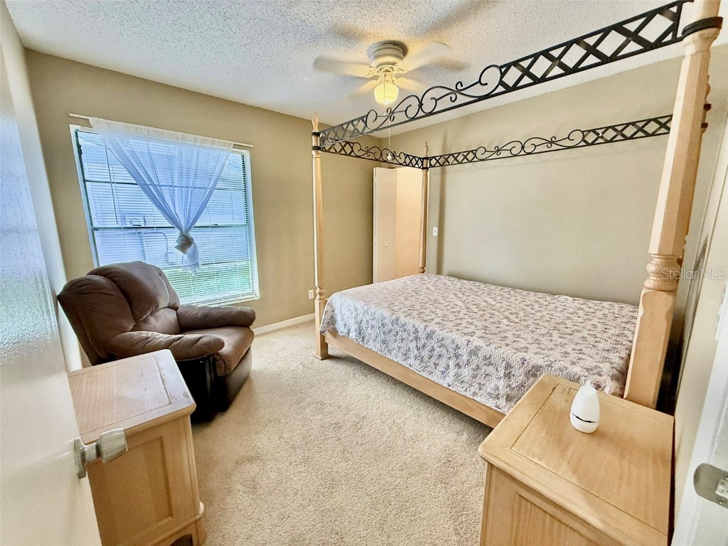 10309 Parkcrest Drive Tampa FL 33624 TB8432107 image15