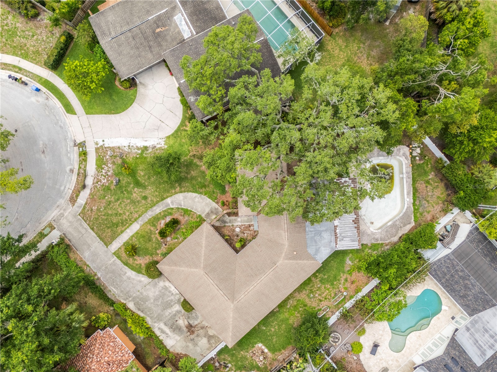 10309 Reclinata Lane Tampa FL 33618 TB8512423 image3