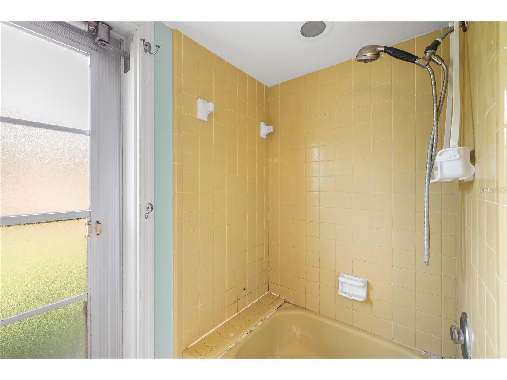 10309 Reclinata Lane Tampa FL 33618 TB8512423 image42