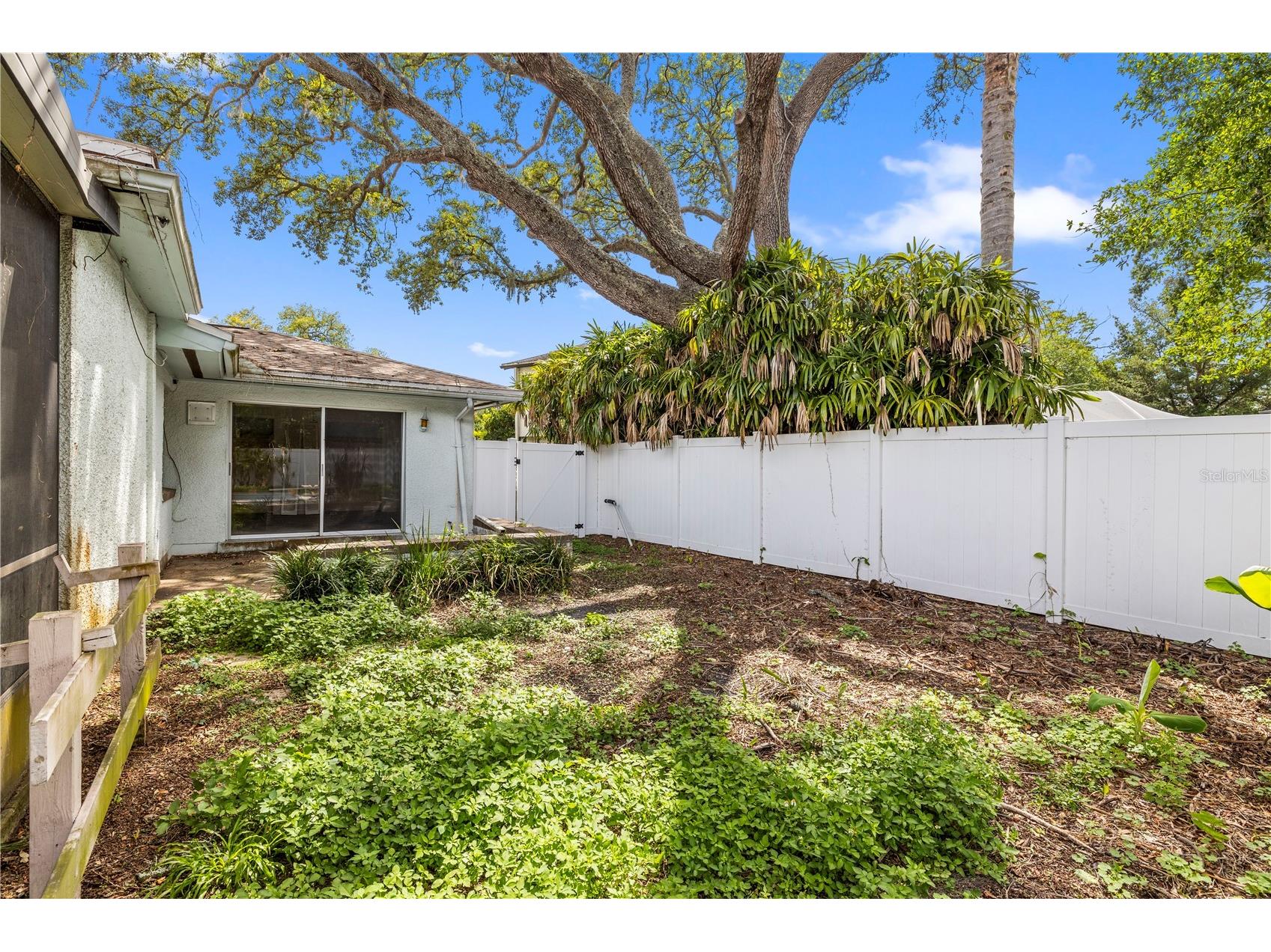 10309 Reclinata Lane Tampa FL 33618 TB8512423 image57