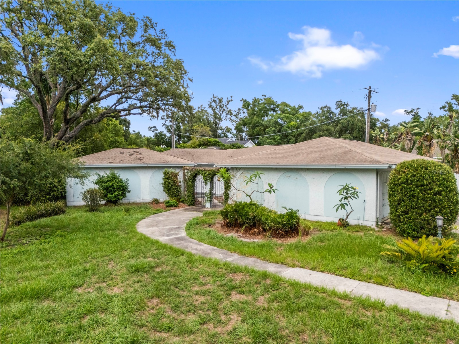 10309 Reclinata Lane Tampa FL 33618 TB8512423 image60