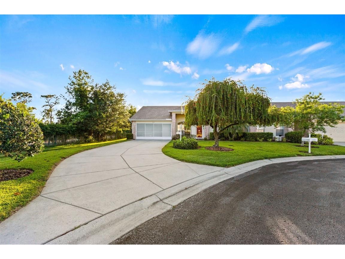 1031 Almondwood Drive Trinity FL 34655 W7854155 image1