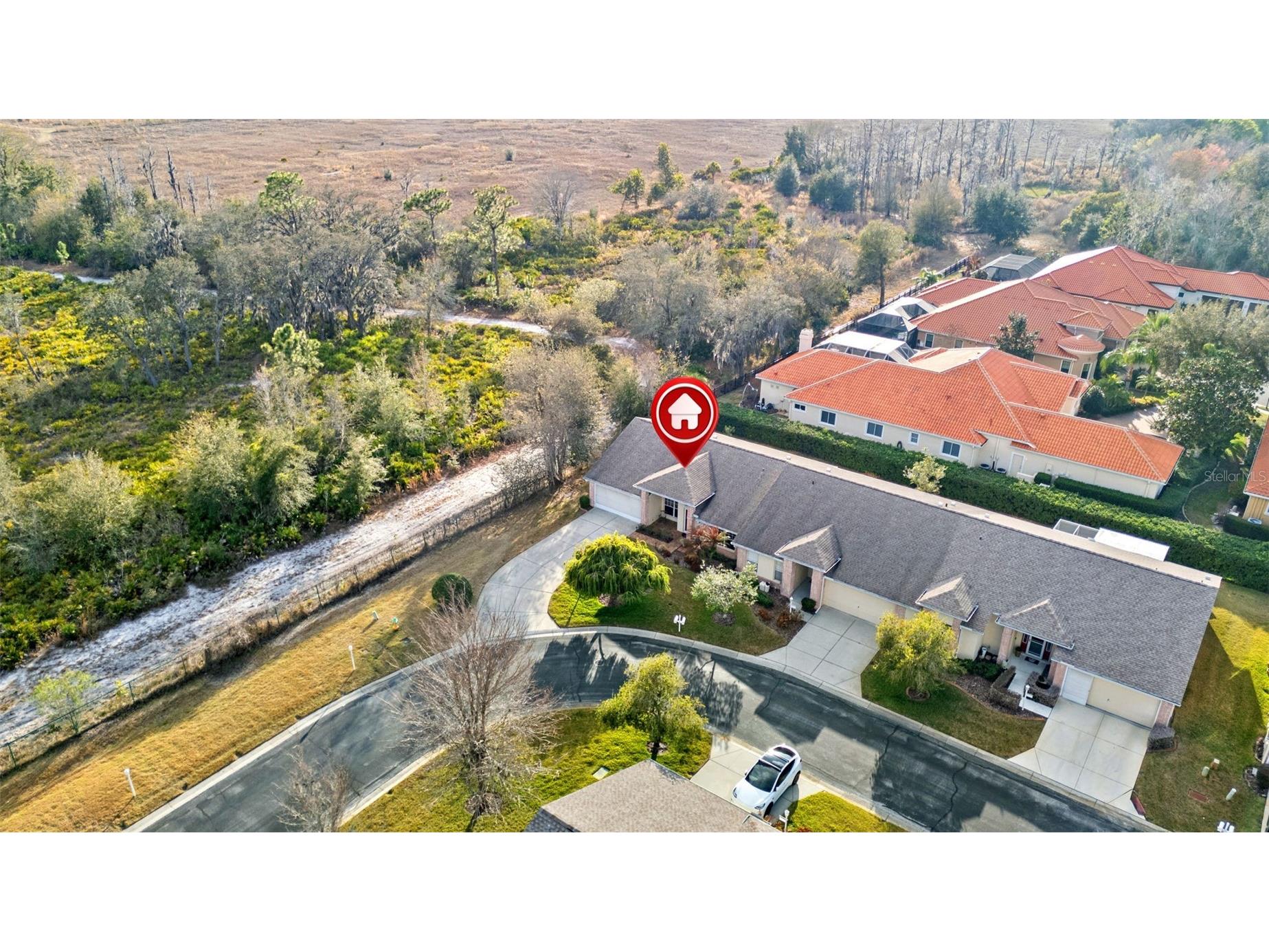 1031 Almondwood Drive Trinity FL 34655 TB8477567 image29